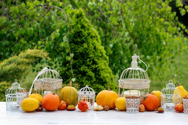 Décoration Table Automne Avec Citrouilles Bougies Temps Fête — Photo