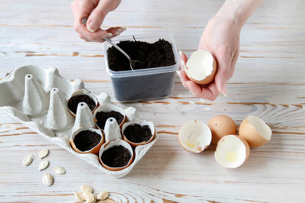 How to grow any plant in an egg shell. Step by step, tutorial.