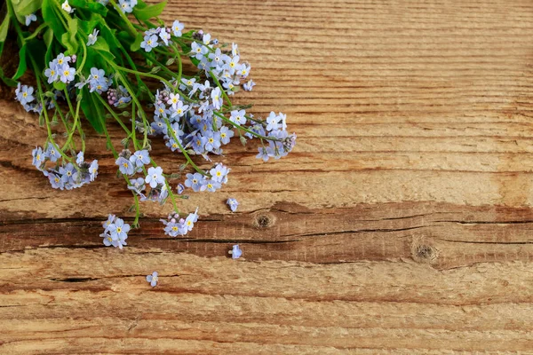 Vergiss Mich Nicht Blumen Auf Rustikalem Holzgrund Kopierraum — Stockfoto