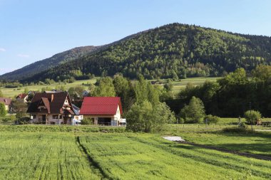 Polonya 'nın Raba Wyzna kentindeki tipik bir Polonya köyü..