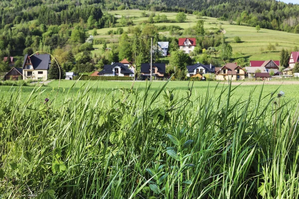 Typická Polská Vesnice Raba Wyzna Polsko — Stock fotografie