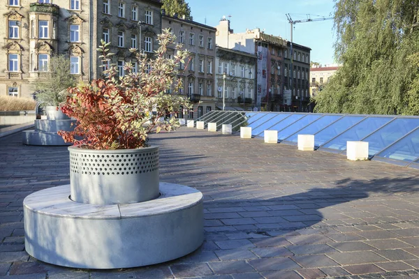 Gatudekoration Med Växter Trottoaren Turistmål — Stockfoto