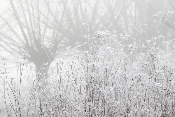 Туманный Пейзаж Поле Утреннего Октябрьского Тумана Туманный Пейзаж — стоковое фото