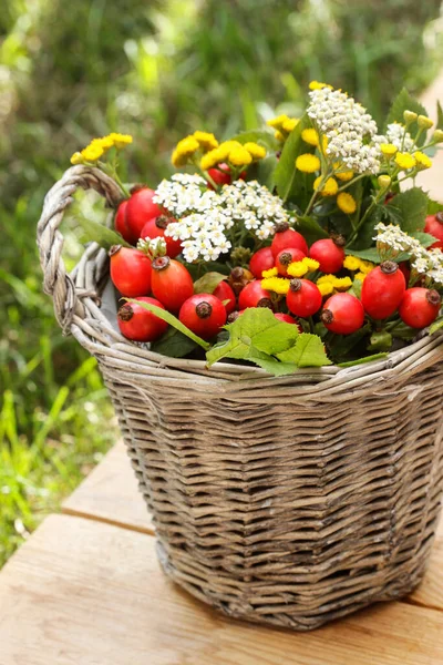 Buquê Plantas Outono Cesta Vime Decoração Festa Jardim — Fotografia de Stock