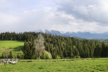 Çayır ve dağlarla güzel bir manzara. Turistler için tatil yeri