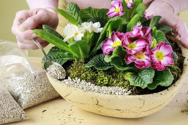 Floristin Bei Der Arbeit Frau Zeigt Wie Man Einfache Dekoration — Stockfoto