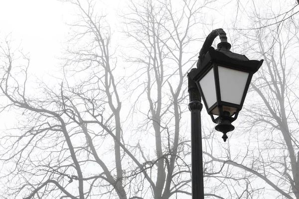 Lanterna Ferro Vintage Ramos Cobertos Neve Início Noite Hora Outono — Fotografia de Stock