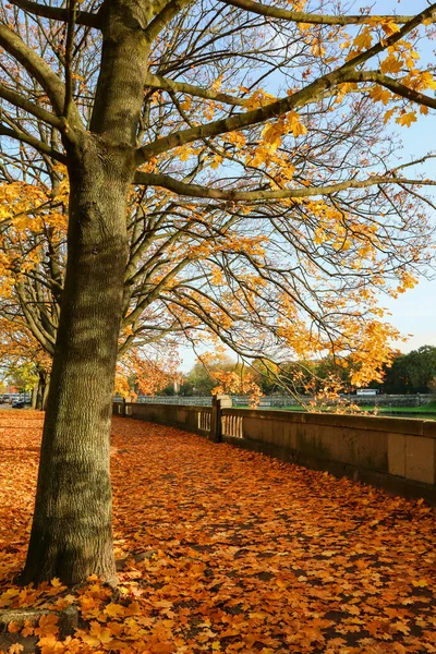 Piękny Jesienny Park Mieście Odpręż Się — Zdjęcie stockowe