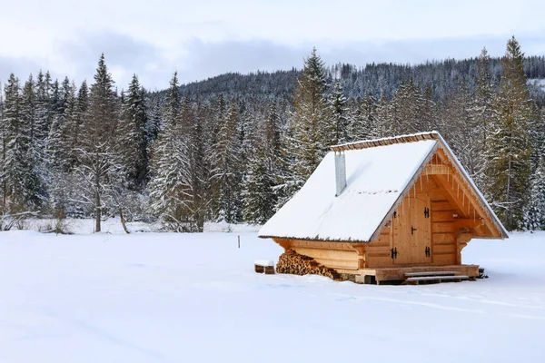 Dřevěný Srub Pod Hustým Lesem Zimní Krajina Zakopane Polsko — Stock fotografie