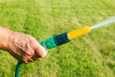 Çiçekleri sulamak. Bahçe hortumu tutan adam. Yaz işi açık havada..