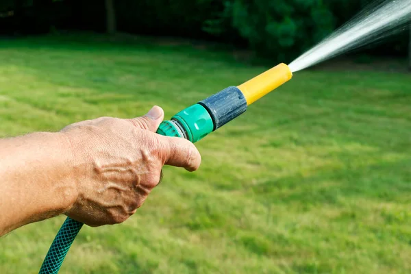 Çiçekleri sulamak. Bahçe hortumu tutan adam. Yaz işi açık havada..