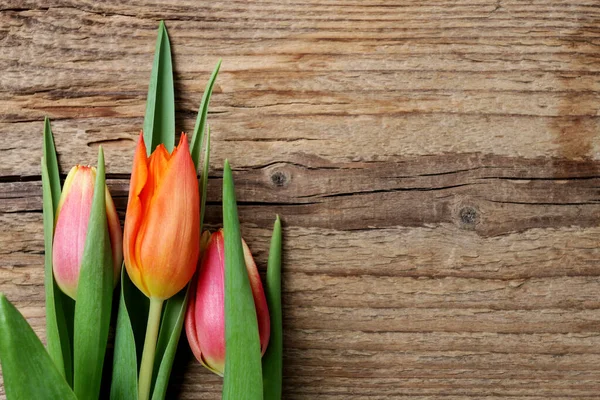 Barevné Tulipány Dřevěné Desce Grafické Zdroje — Stock fotografie