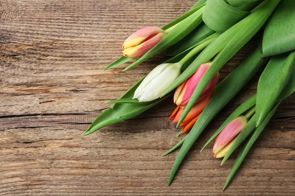 Tulipes Colorées Sur Une Planche Bois Ressources Graphiques — Photo