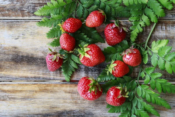 绿色蕨叶上的草莓 健康食品 — 图库照片