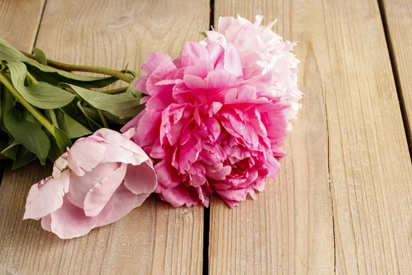 Splendide peonie rosa su sfondo rustico in legno — Foto Stock