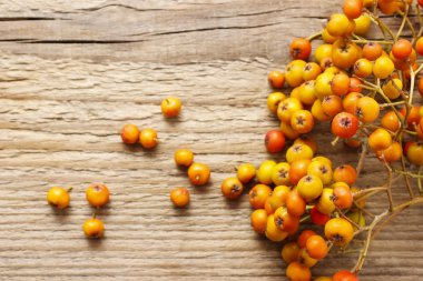 Ahşap masa Rowan berry