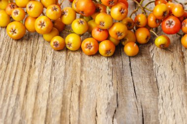 Ahşap masa Rowan berry