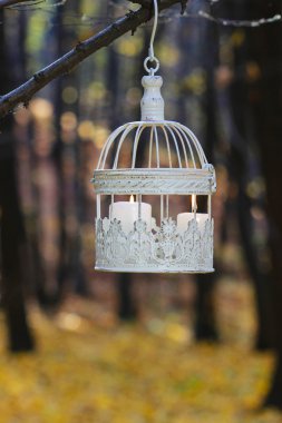 Beyaz mum içinde ağaç dalına asılı vintage kuş kafesi