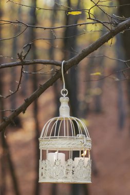 Beyaz mum içinde ağaç dalına asılı vintage kuş kafesi