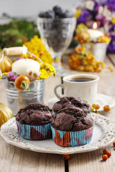 Chocolade muffins — Stockfoto