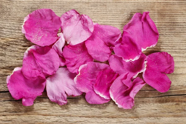 Pétalas de rosa de rugosa em madeira — Fotografia de Stock