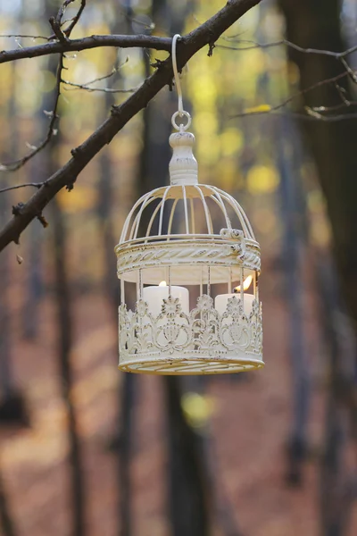 Gabbia per uccelli vintage appesa al ramo d'albero, candele bianche all'interno — Foto Stock