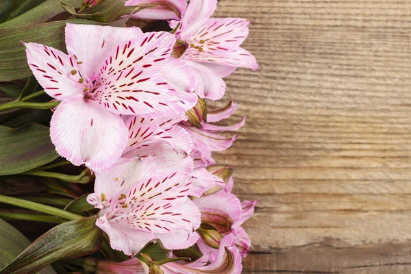 Alstroemeria fleurs (Lys péruvien ou Lys des Incas ) — Photo