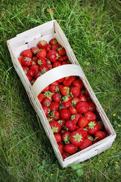 Basket of strawberries on grass — Stock Photo, Image