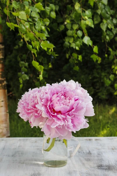 Boeket van roze pioenrozen in de tuin — Stockfoto