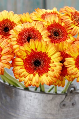 Gümüş ahşap sekmesine kovanın içinde portakal Gerbera'lardan oluşan