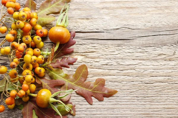 Decorazioni floreali autunnali su sfondo ligneo — Foto Stock