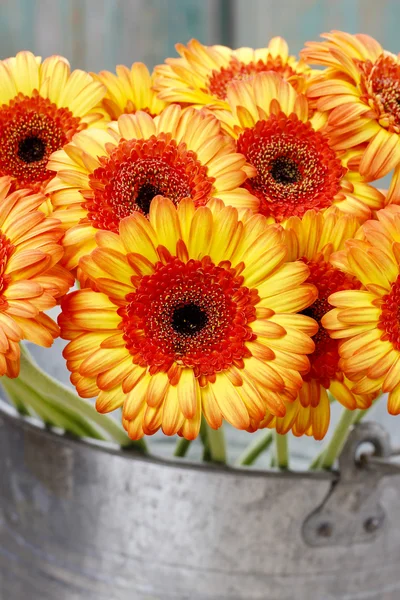 Ramo de margaritas gerberas de color naranja en cubo de plata en la pestaña de madera —  Fotos de Stock