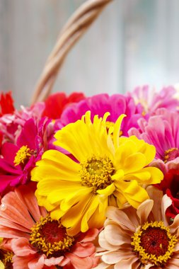 Hasır sepet zinnia çiçeği buket.