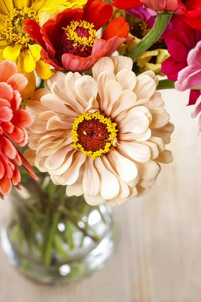 Bouquet of zinnia flowers — Stock Photo, Image