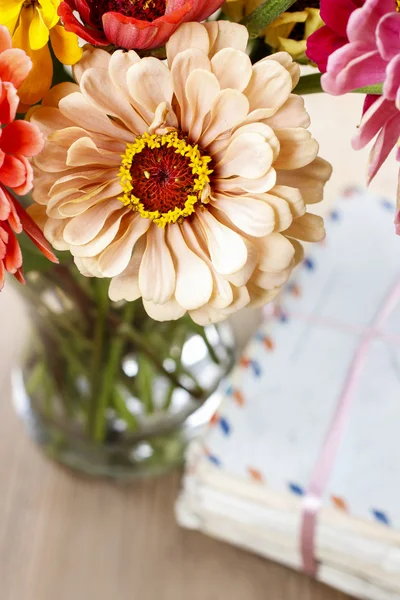 Strauß Zinnia-Blumen — Stockfoto