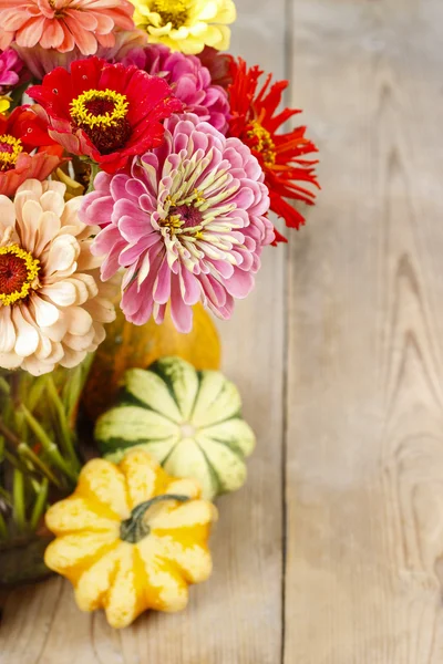 Bouquet de fleurs de zinnia — Photo