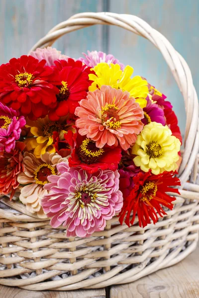 Buquê de flores zinnia em cesta de vime . — Fotografia de Stock