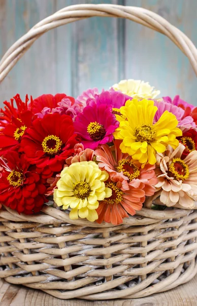 Boeket van zinnia bloemen in rieten mand. — Stockfoto