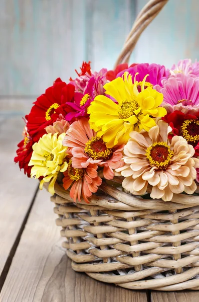 Boeket van zinnia bloemen in rieten mand. — Stockfoto