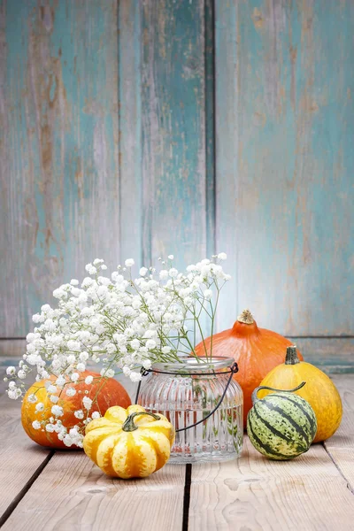 Babyatem (gypsophilia paniculata) und bunte Kürbisse — Stockfoto