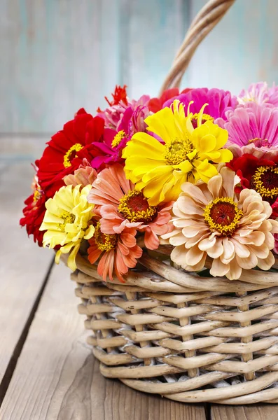 Buquê de flores zinnia em cesta de vime . — Fotografia de Stock