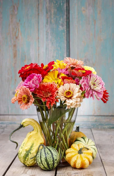 Strauß Zinnia-Blumen — Stockfoto