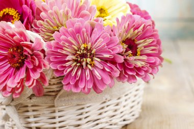 Hasır sepet zinnia çiçeği buket.