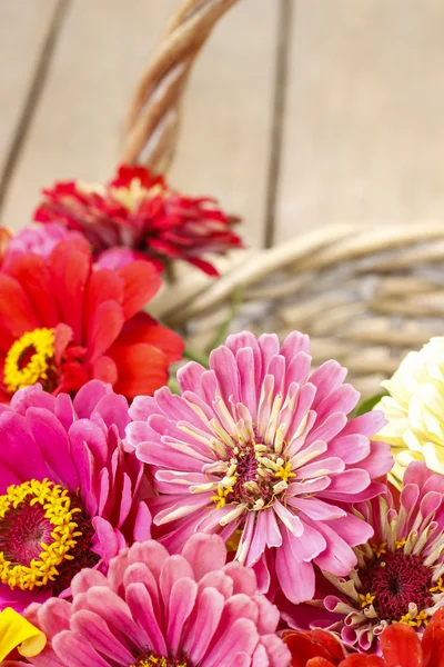 Bouquet of zinnia flowers in wicker basket. — Stock Photo, Image