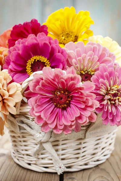 Buquê de flores zinnia em cesta de vime . — Fotografia de Stock