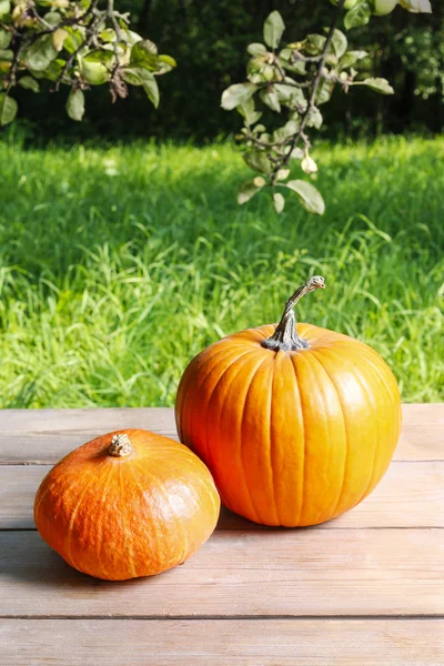 Zucche sul tavolo di legno in giardino — Foto Stock