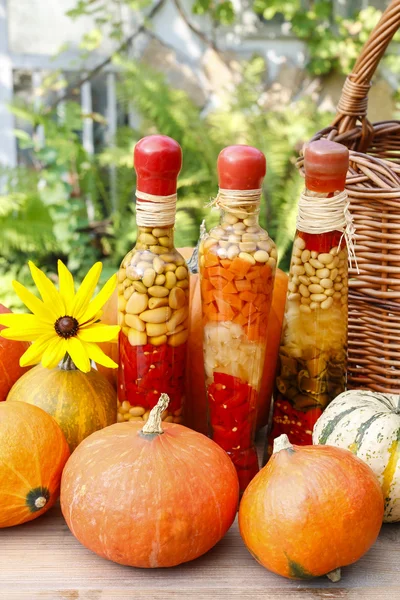 Pumpkins and colorful pickled vegetables in preserving glass — Stock Photo, Image