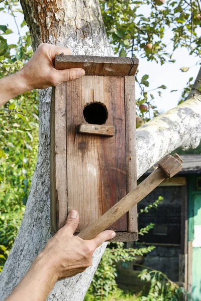 Casa de aves en el jardín — Foto de Stock