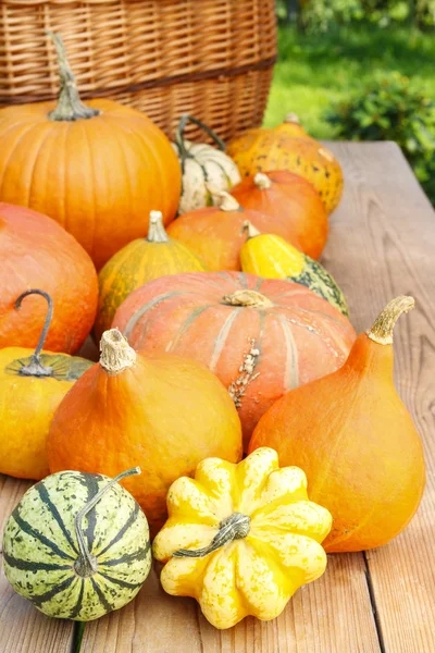 Pumpkins on wooden table in the garden — Stock Photo, Image