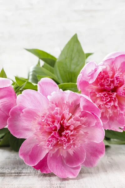 Pink peonies on wooden table — Stock Photo, Image